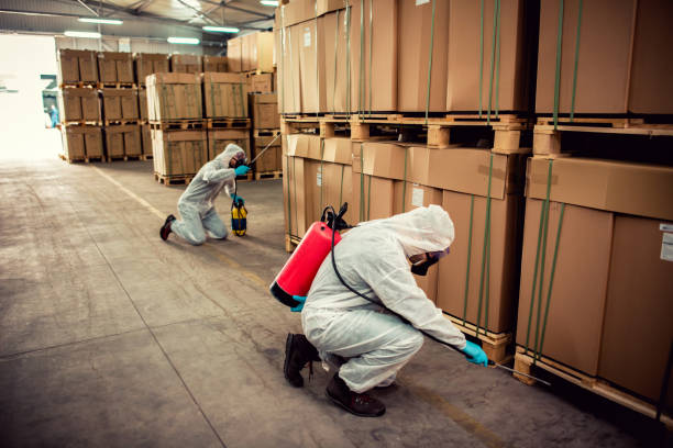 Best Wasp Removal Services  in Altoona, IA