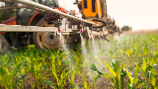 Best Best Pest Control Companies  in Altoona, IA