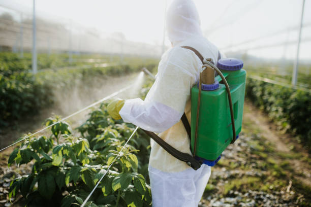 Best Best Pest Control Companies  in Altoona, IA